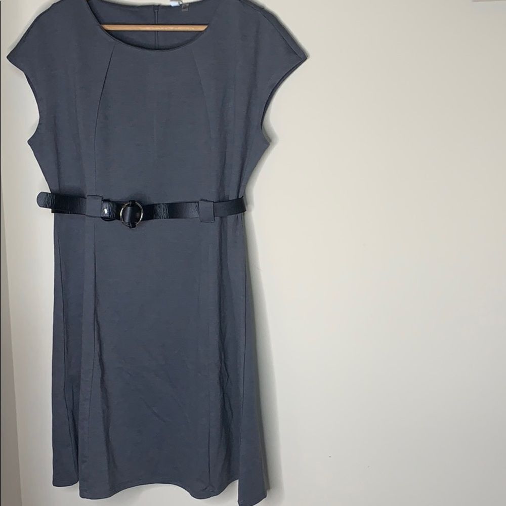 NWT Woman  NY Collection Petites Knee length Dress